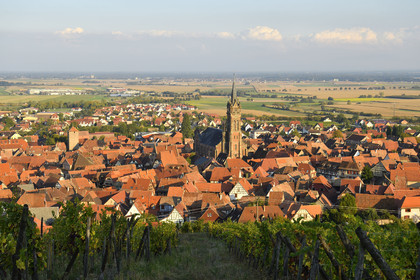 France, Dambach la Ville