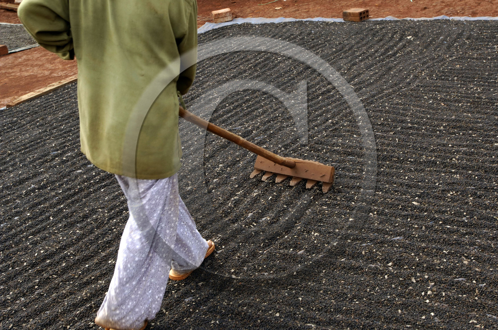 HAUTS PLATEAUX DU CENTRE, VIETNAM