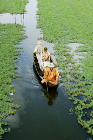 DELTA DU MEKONG, VIETNAM