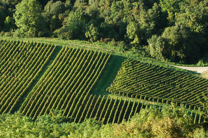 Franche-Comte, France