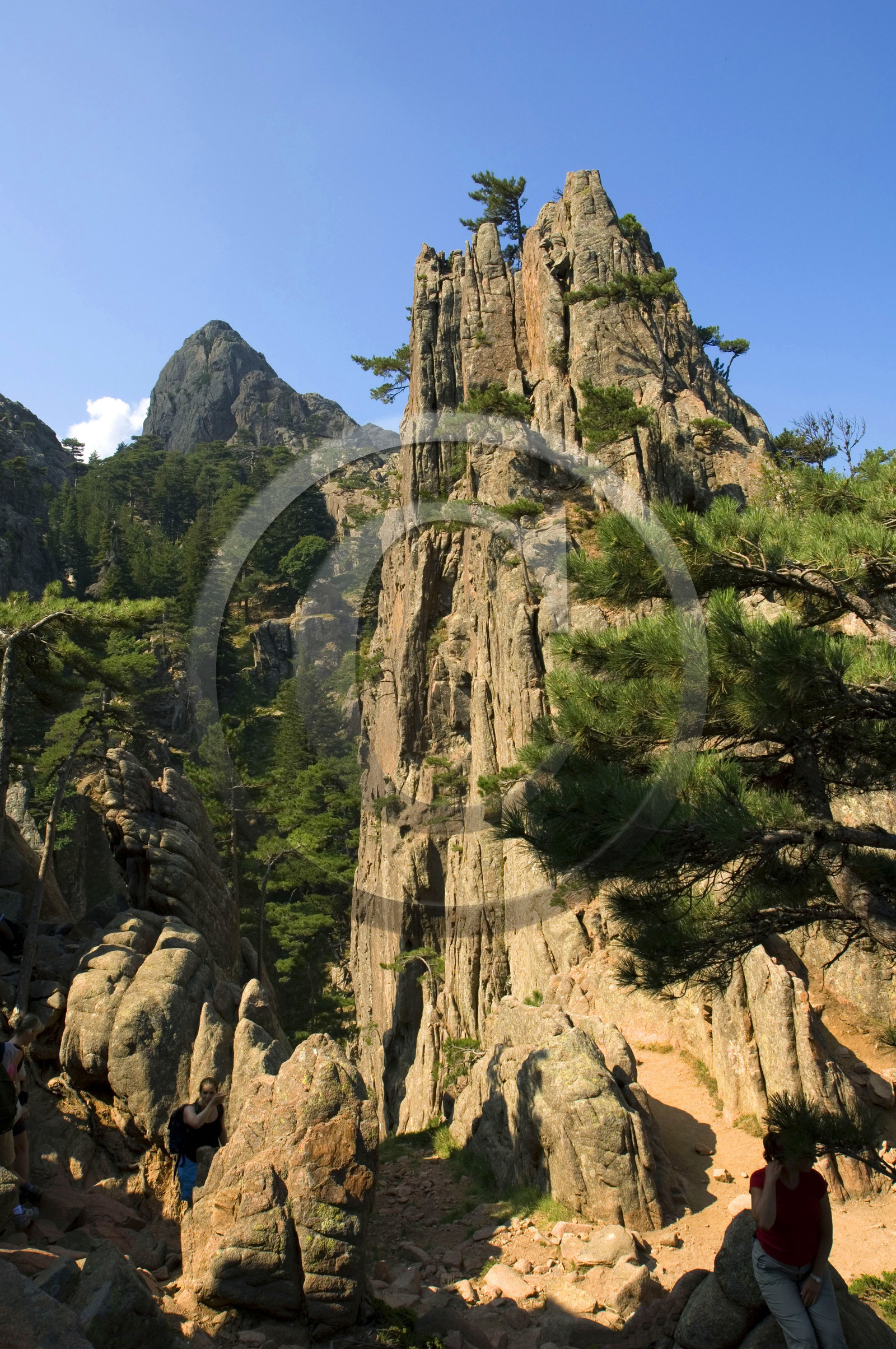 Bavella, Corse, France