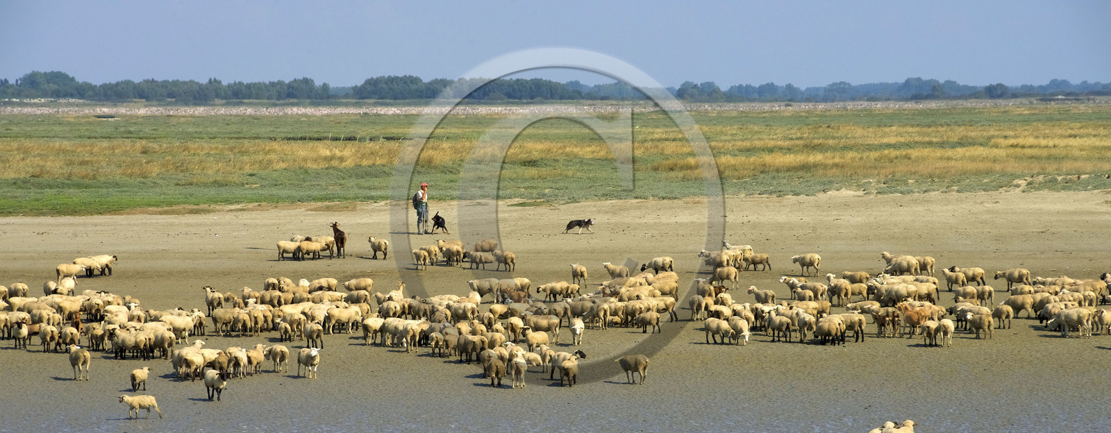 France, Baie de Somme