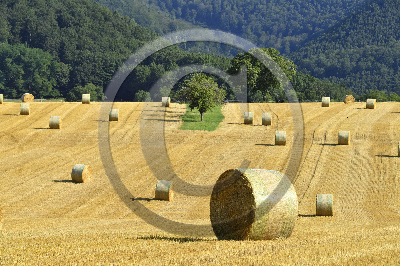 France,  Niederbronn