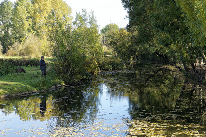 France, Marais Poitevin
