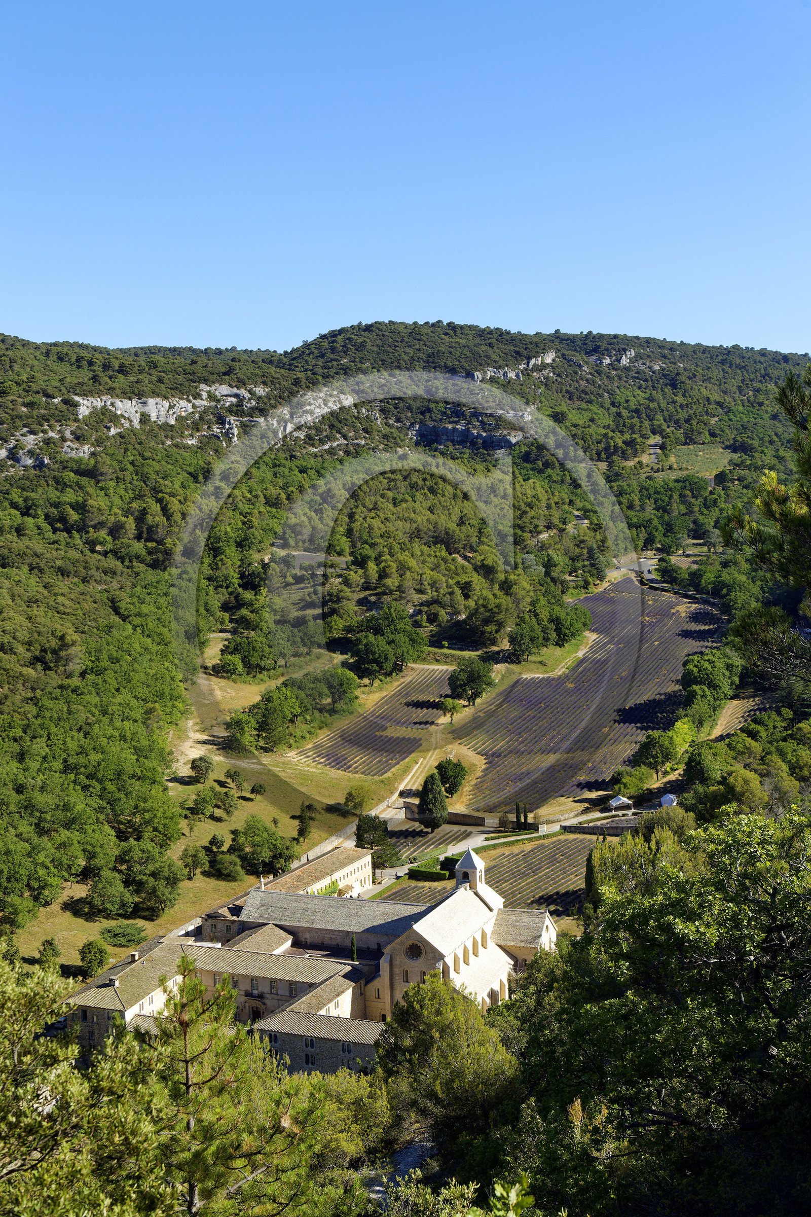 France, Senanque