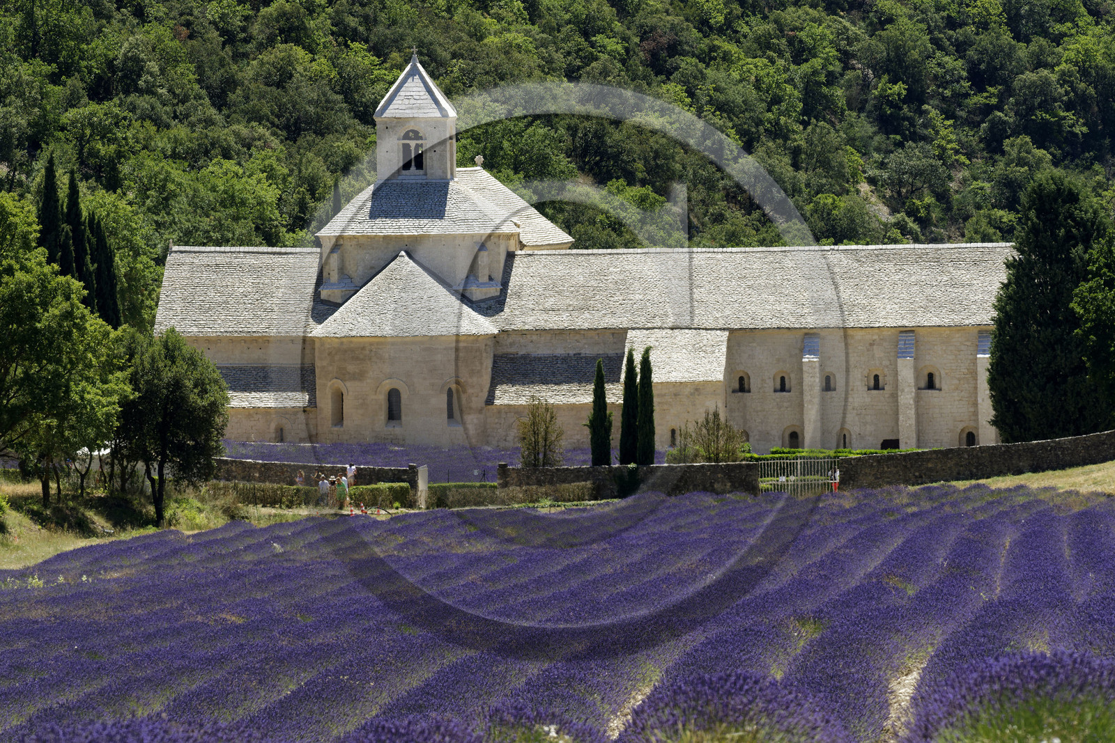 France, Senanque