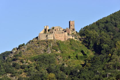 France,  Ribeauville