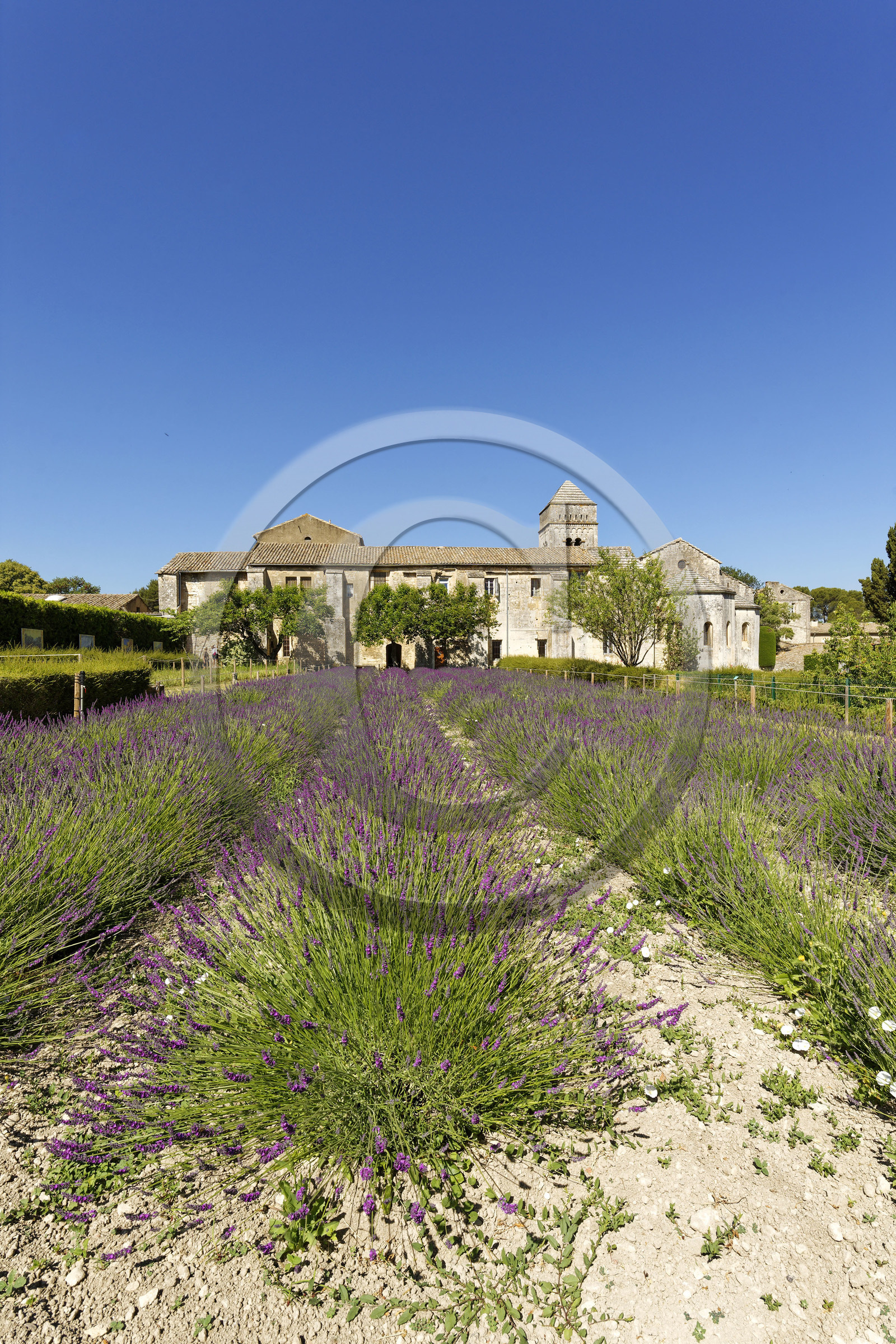 France, Saint Remy de Provence