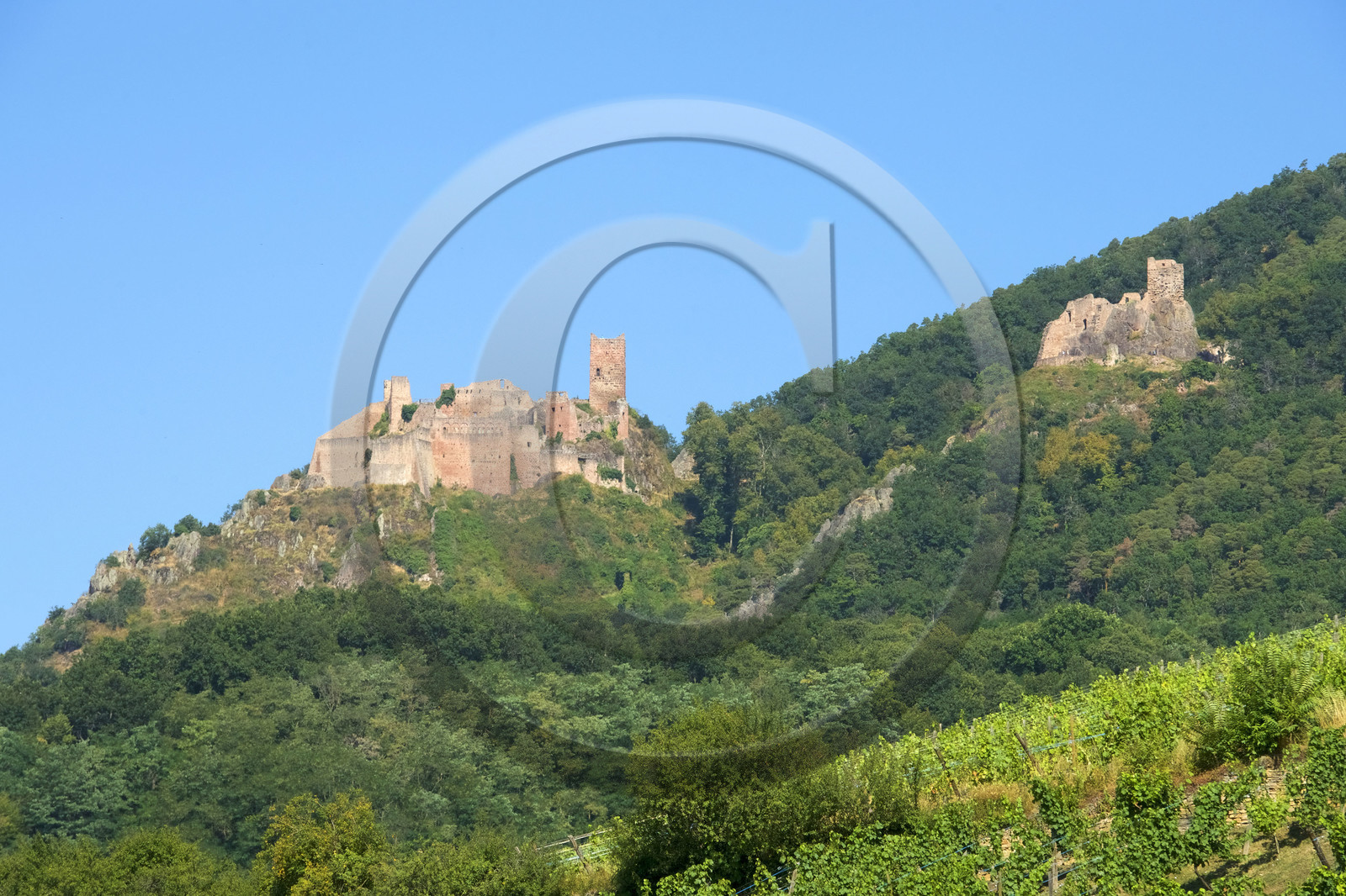 France,  Ribeauville