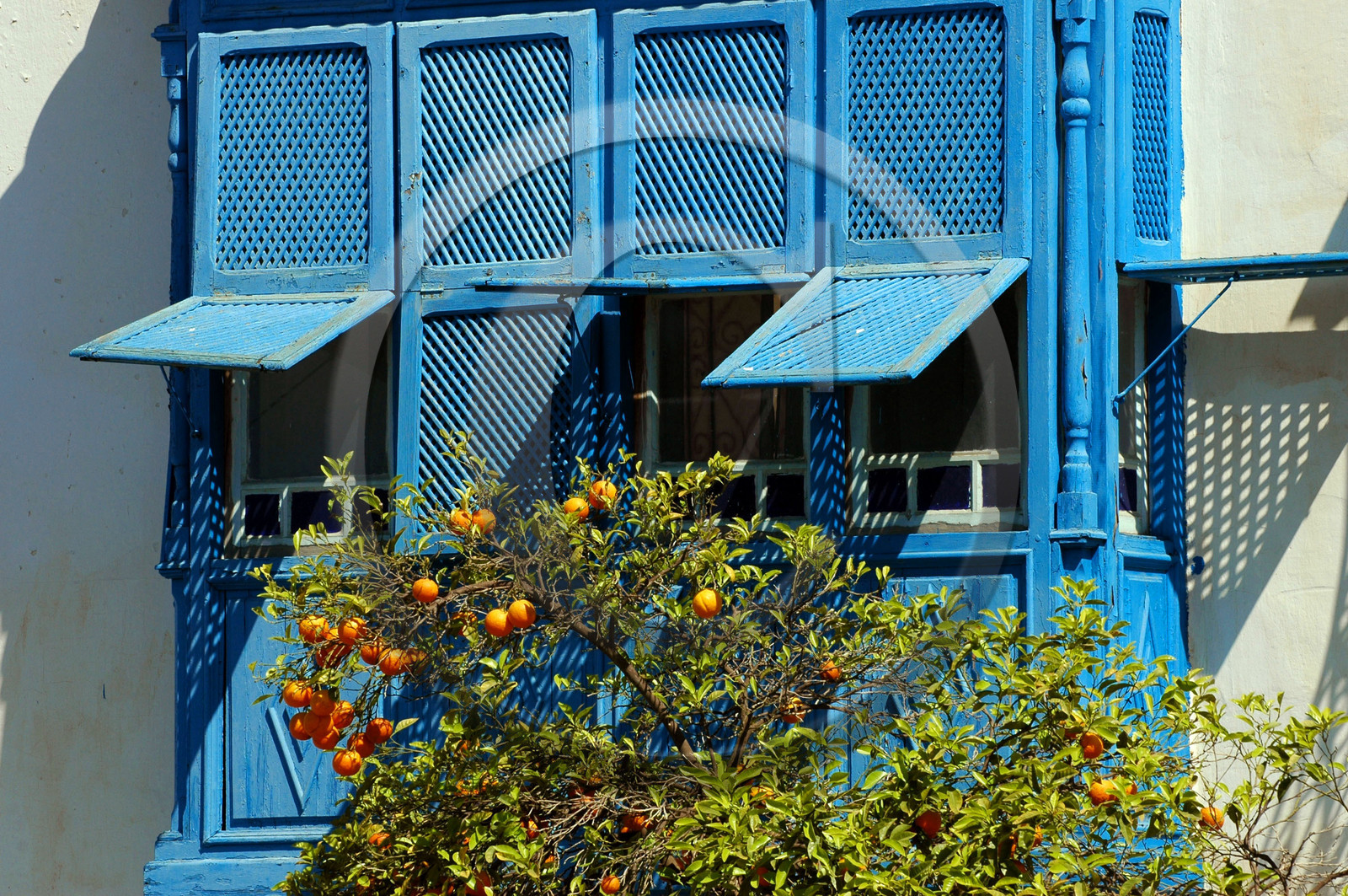 Sidi Bou Said, Tunisie