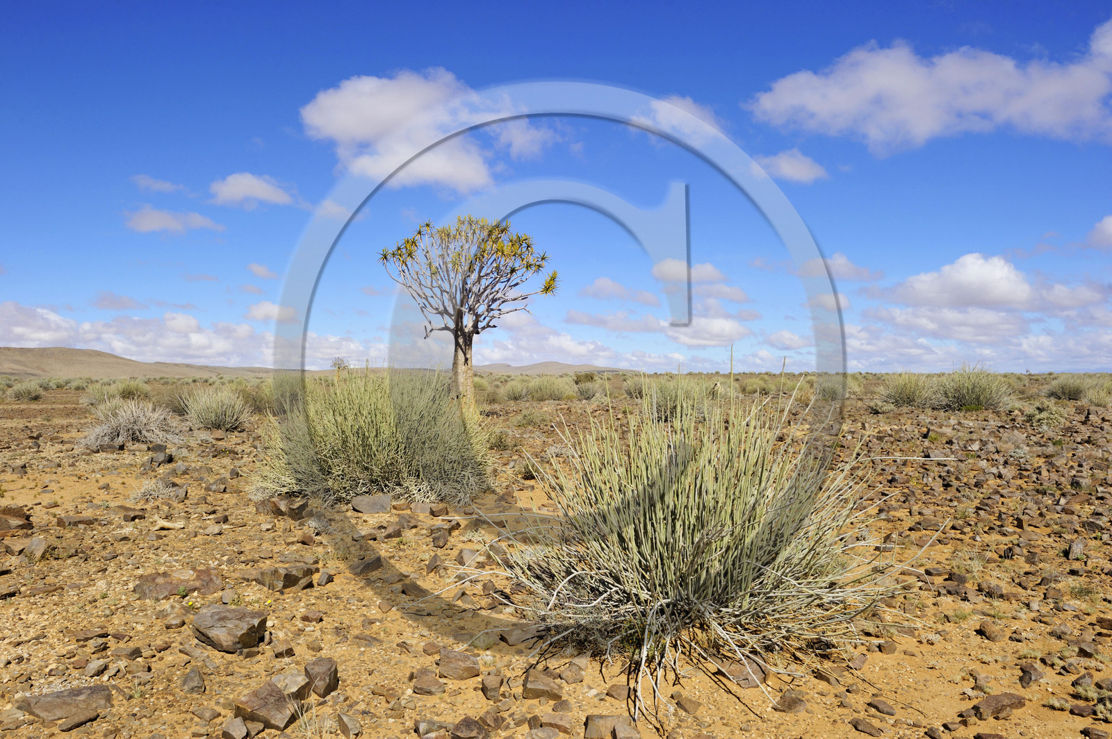 Namibie, Fish River Canyon