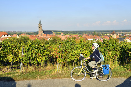 France, Dambach la Ville