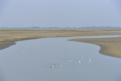 France, Baie de Somme
