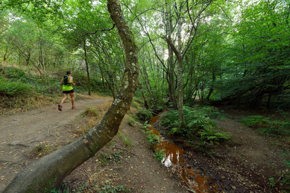 France, Brocéliande