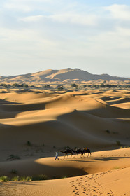 Maroc, Merzouga