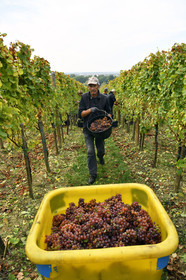 France, Dambach la Ville