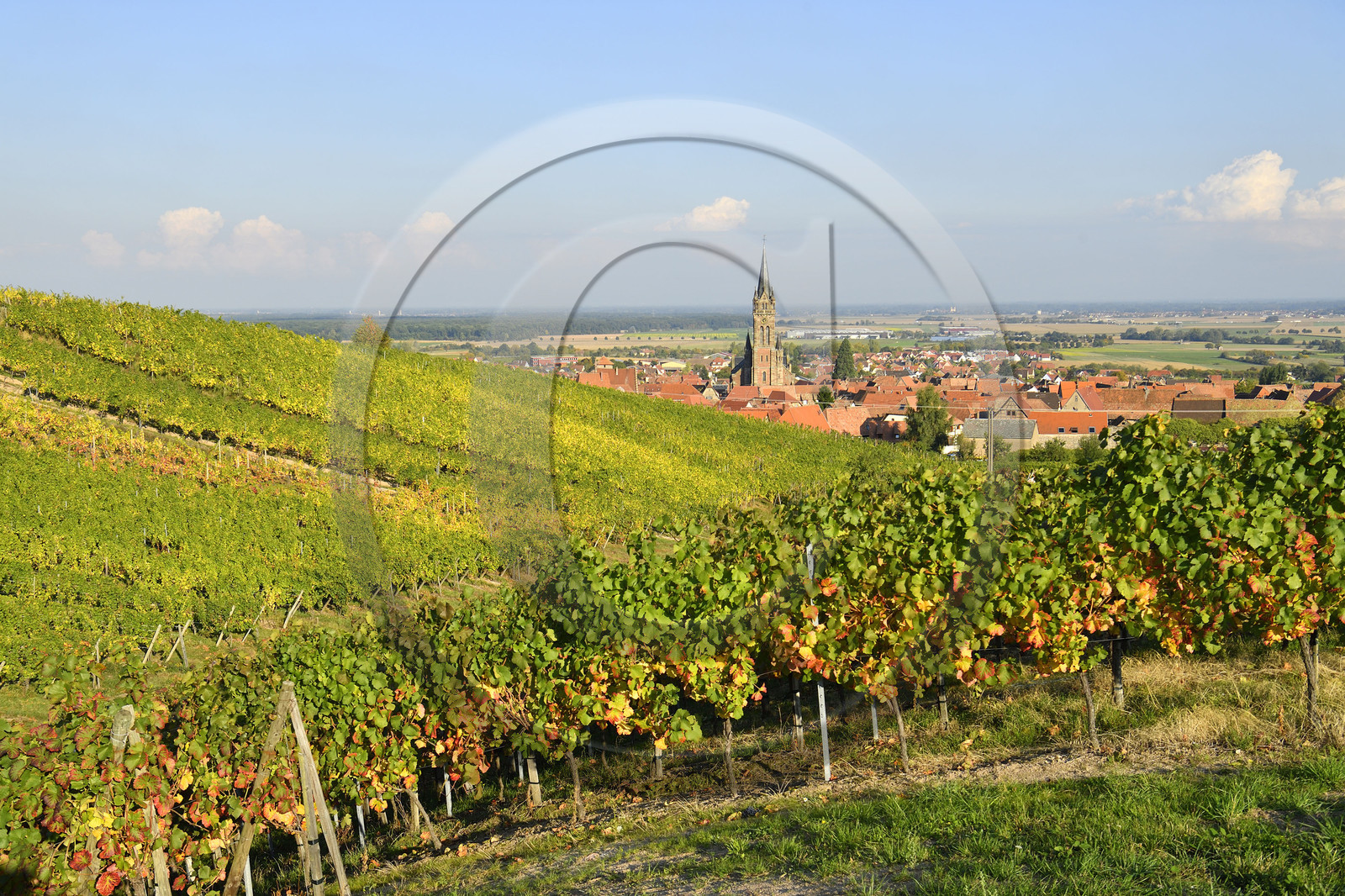 France, Dambach la Ville