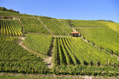 France, Dambach la Ville