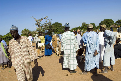 Marché de Gueguenne, Sénégal