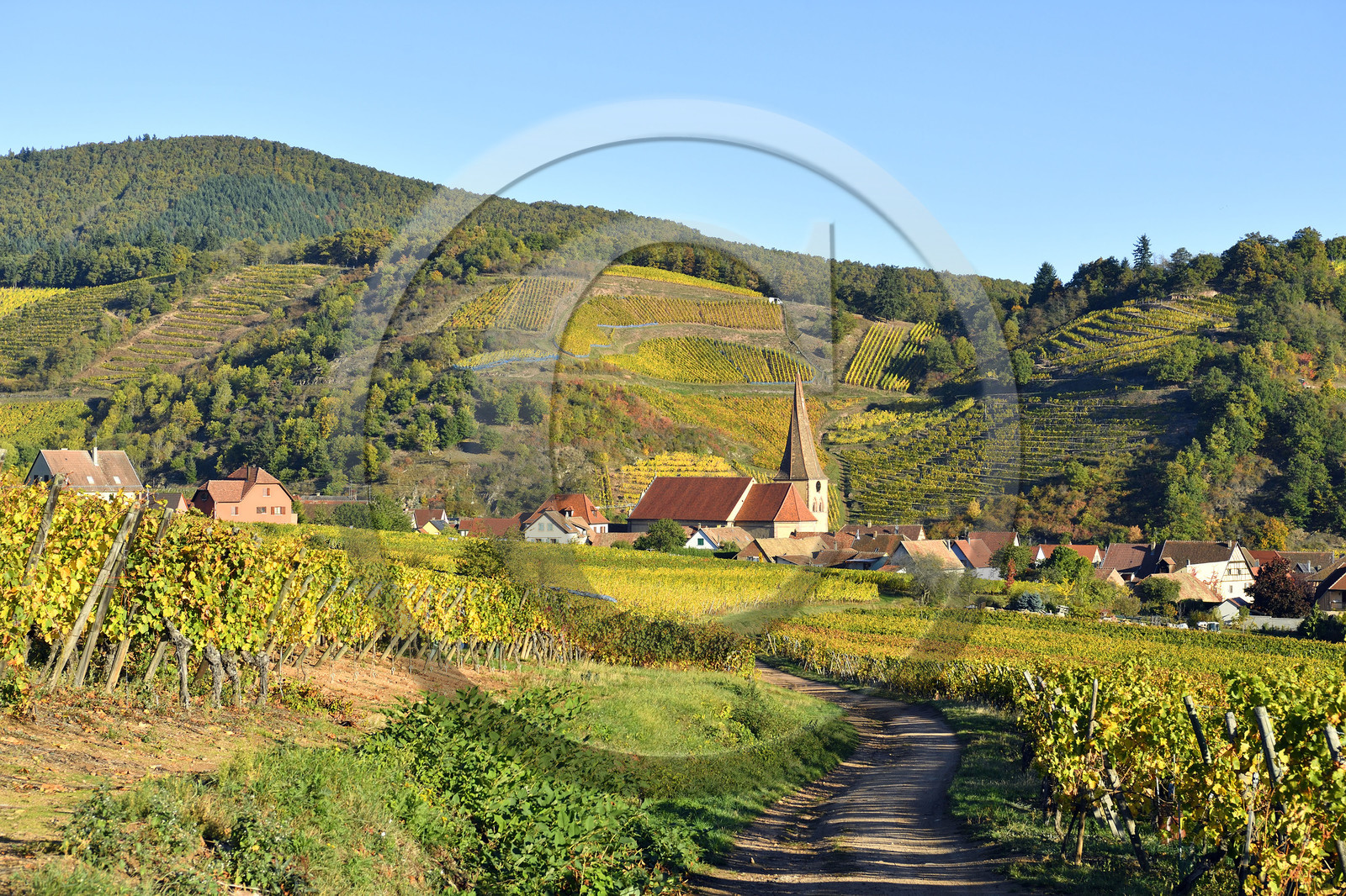 France, Niedermorschwihr