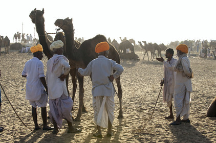 Inde, Pushkar