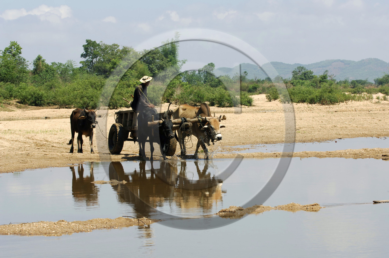 HAUTS PLATEAUX DU CENTRE. VIETNAM