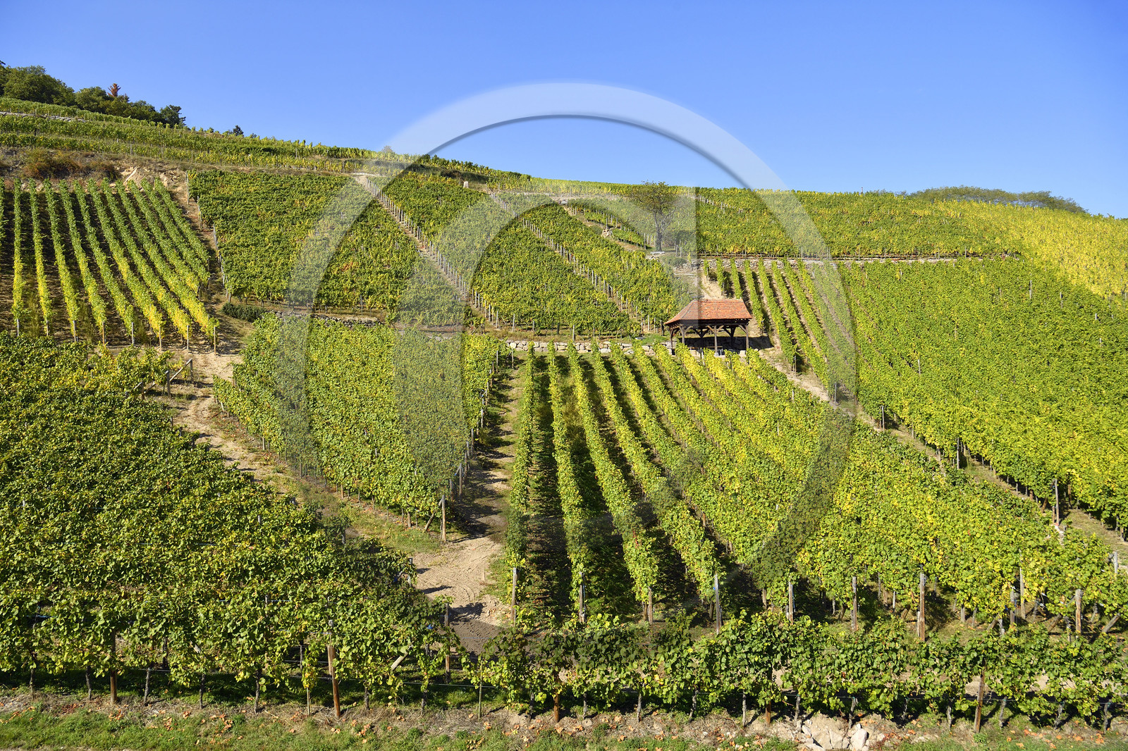 France, Dambach la Ville