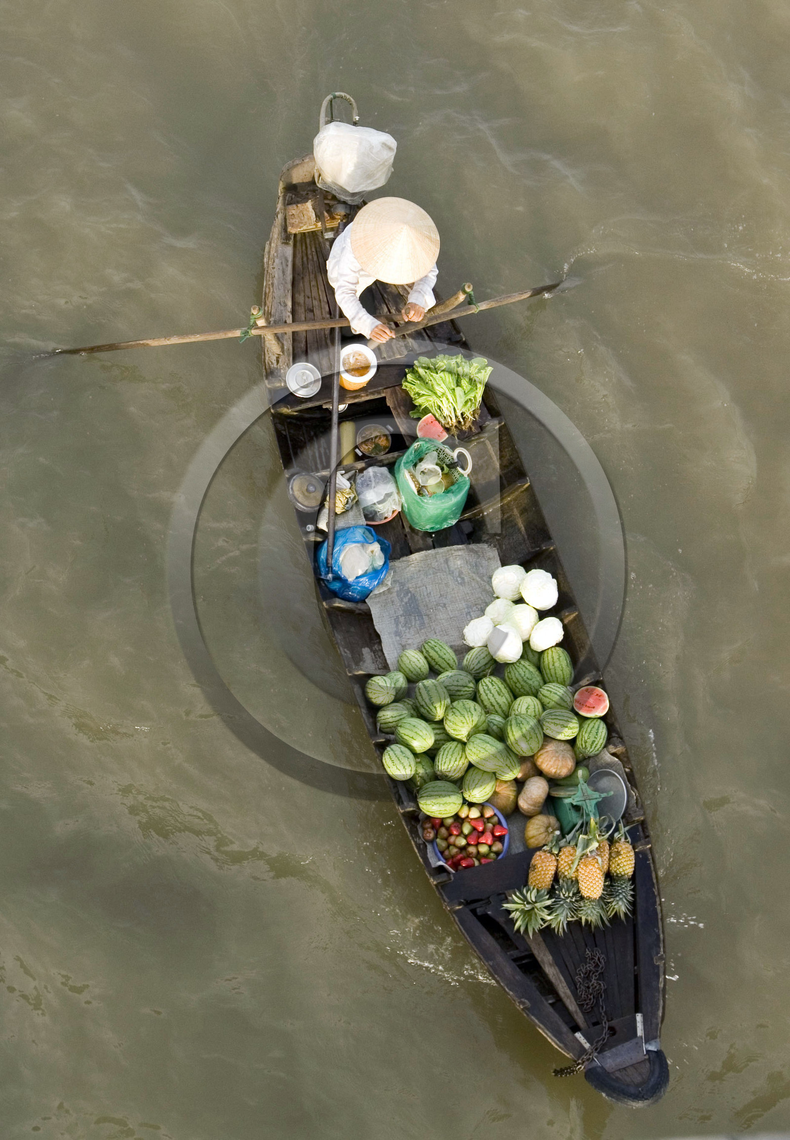 Delta du Mékong, Vietnam