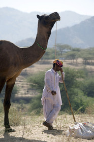 Inde, Pushkar