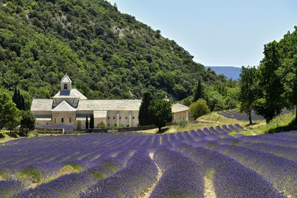 France, Senanque