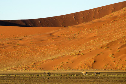 Namibie, Sossusvlei