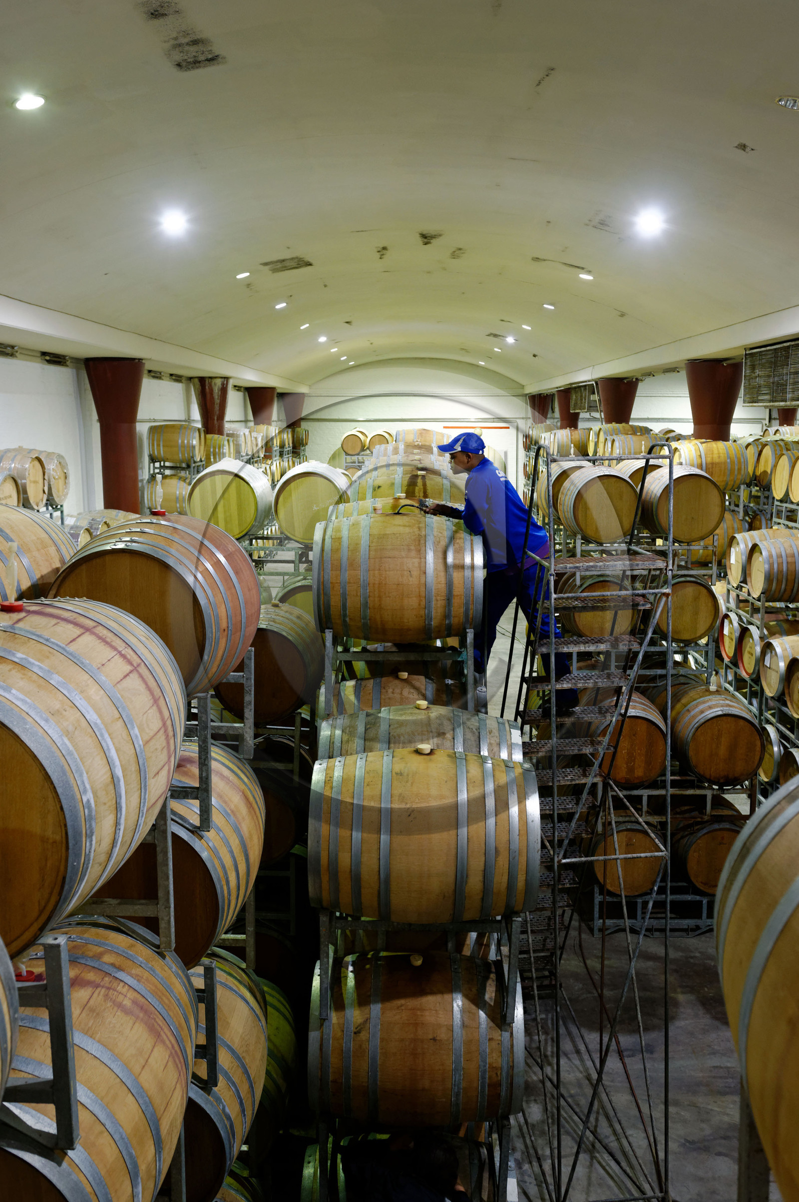 AFS, route des vins