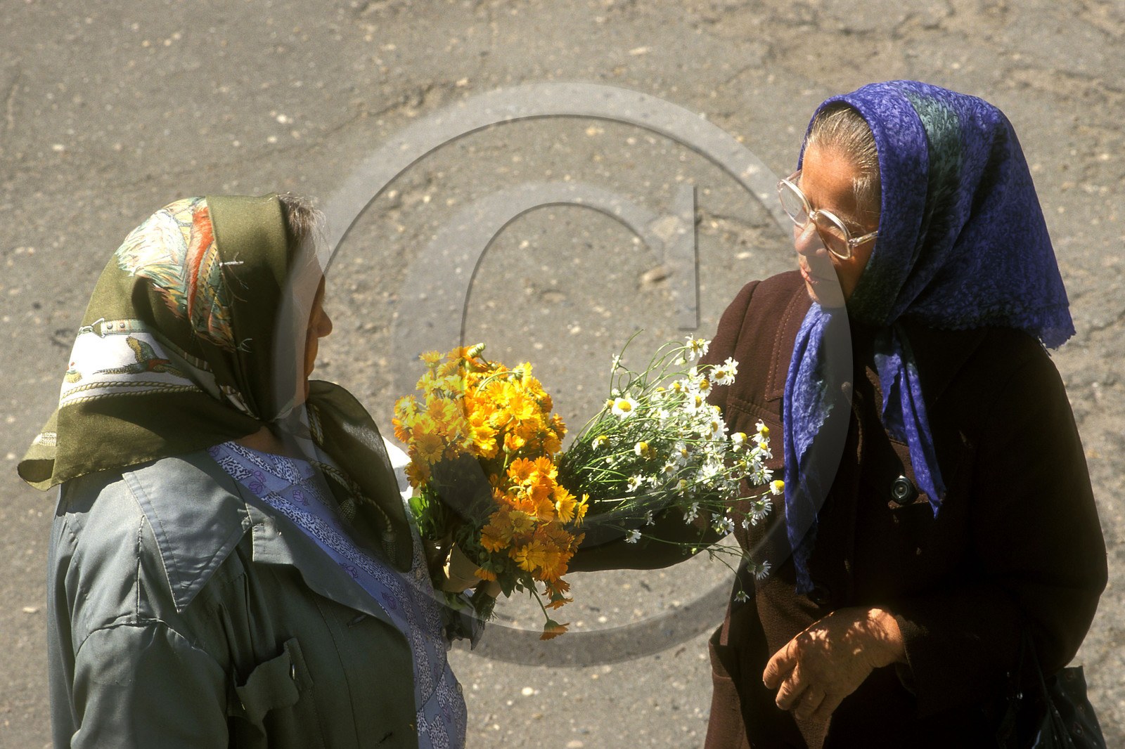 Marchandes de fleurs, Yaroslav, Russie
