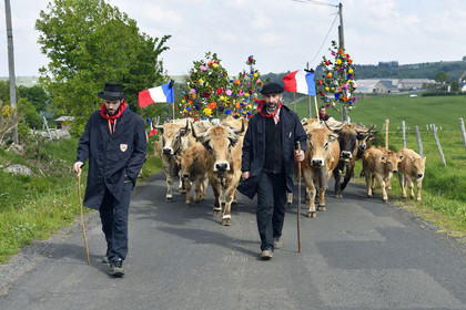 France, Aubrac