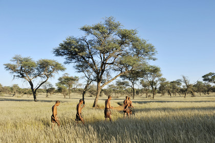Namibie, Kalahari