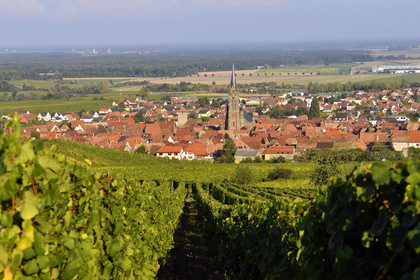 France, Dambach la Ville