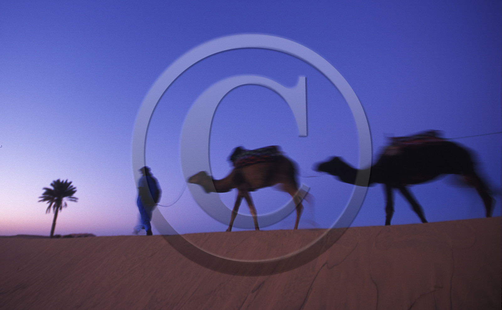 MAROC SUD   MERZOUGA.ERG CHERBI