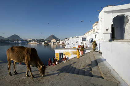 Inde, Pushkar