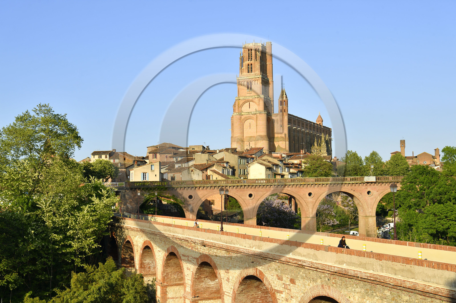 France, Albi
