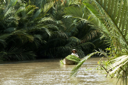 DELTA DU MEKONG, VIETNAM