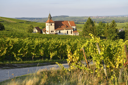 France, Dambach la Ville