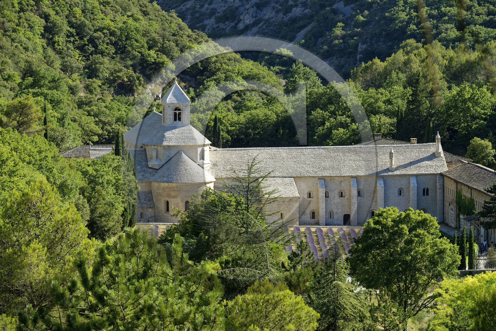 France, Senanque