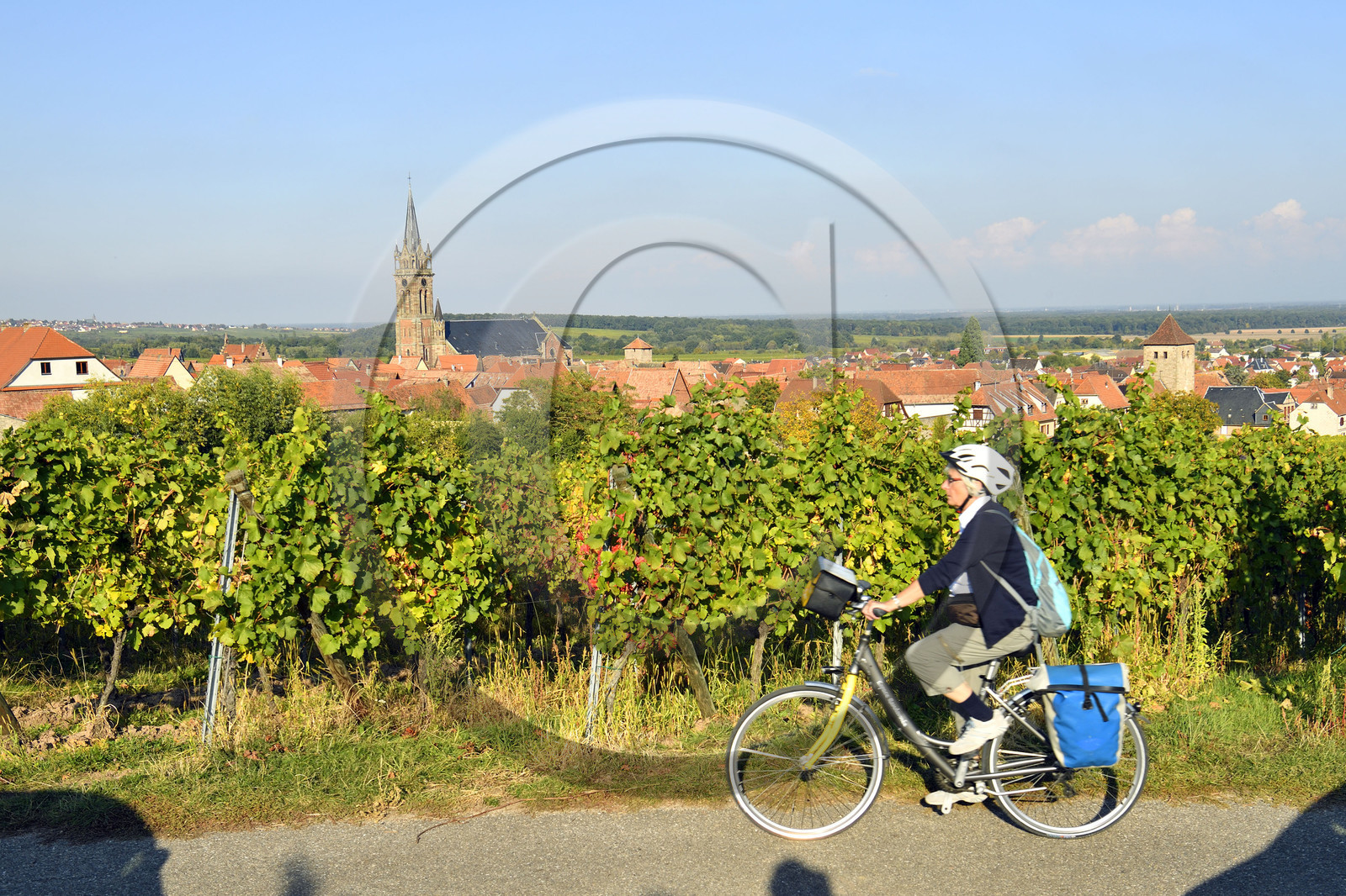 France, Dambach la Ville