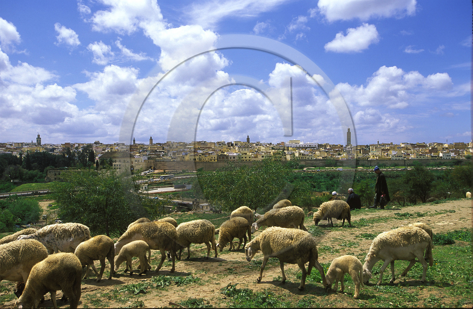 MAROC   MEKNES.VUE GÉNÉRALE