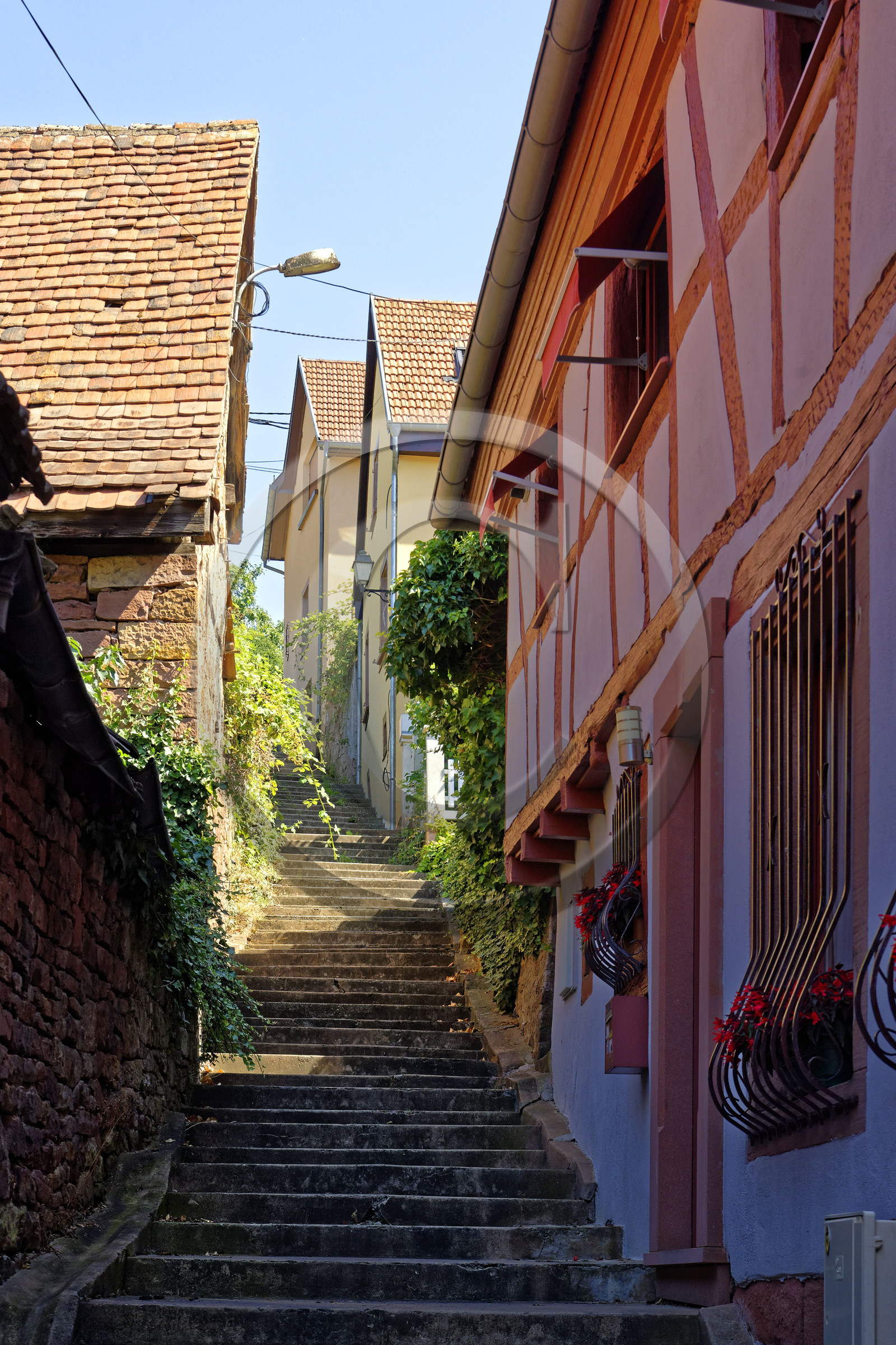 France,  Niederbronn