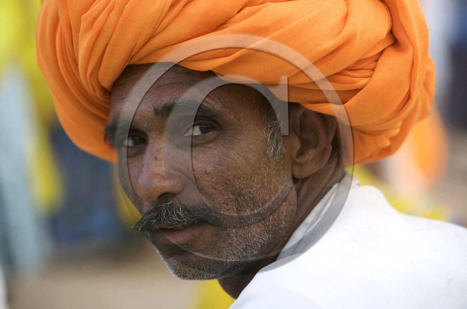 Inde, Pushkar