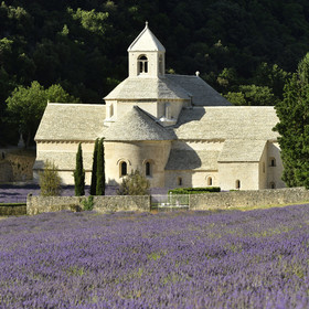 France, Senanque