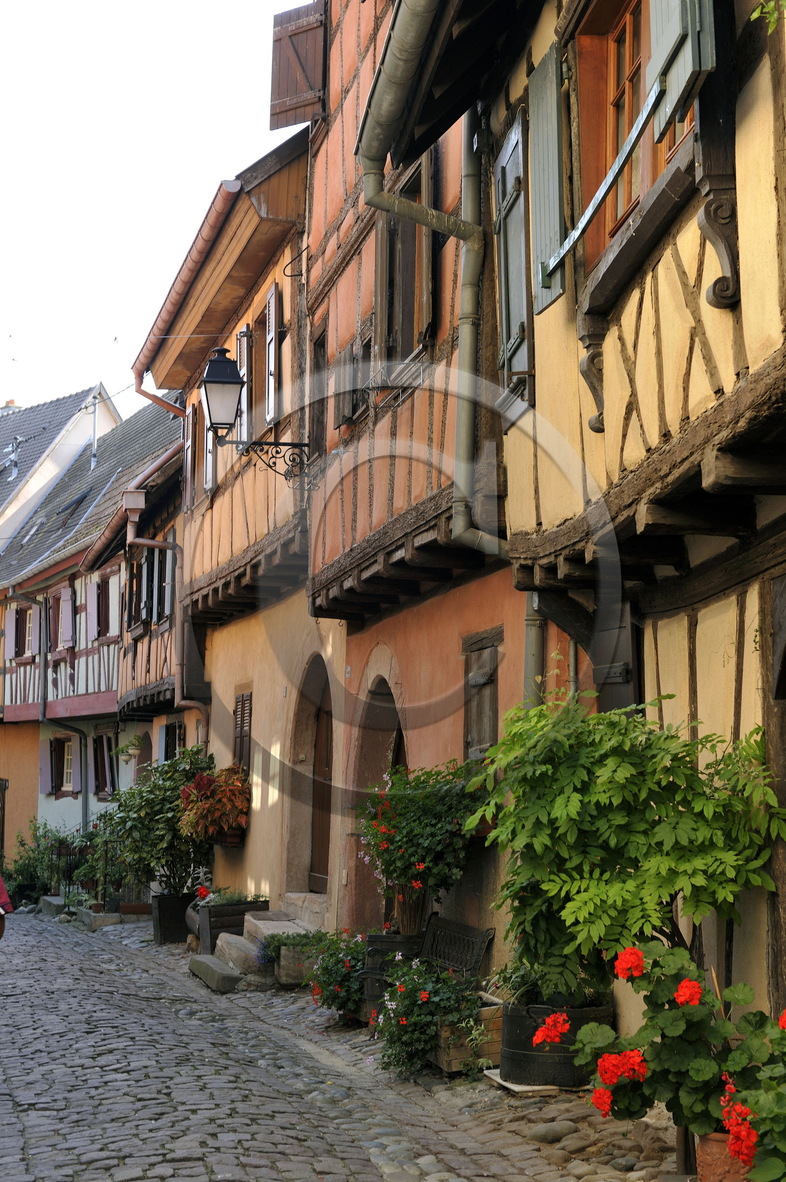 France, Eguisheim