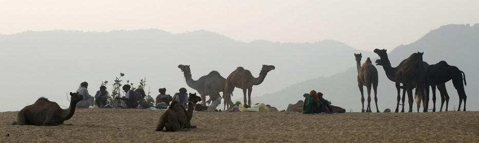 Inde, Pushkar