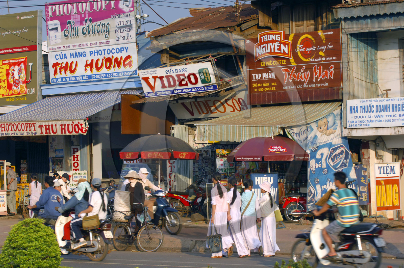HAUTS PLATEAUX DU CENTRE. VIETNAM
